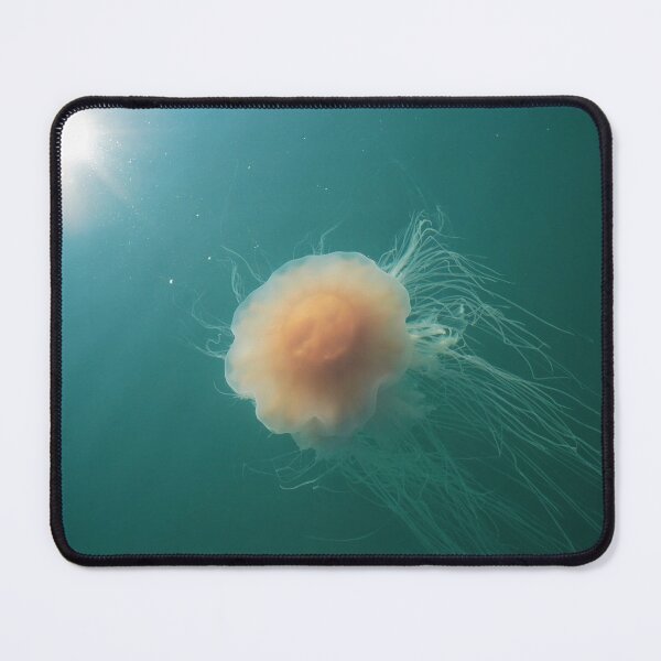 Item preview, Jellyfish in another universe designed and sold by elisainiceland.