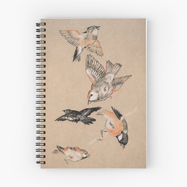 Item preview, Love leading the Pilgrim - Study of Birds: Finches (1897) Sir Edward Burne–Jones designed and sold by BeardedTree.