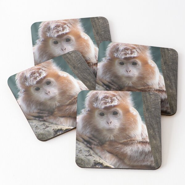 Item preview, Langur Monkey Portrait designed and sold by WithLoveMelissa.