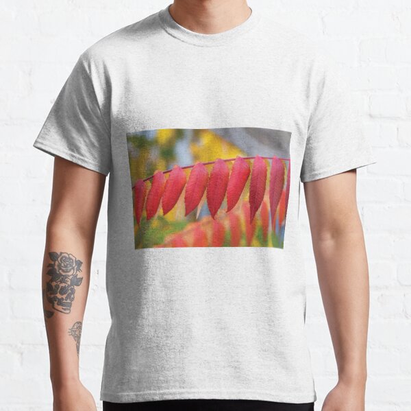 Red Leaves Of A Virginia Sumac Classic T-Shirt