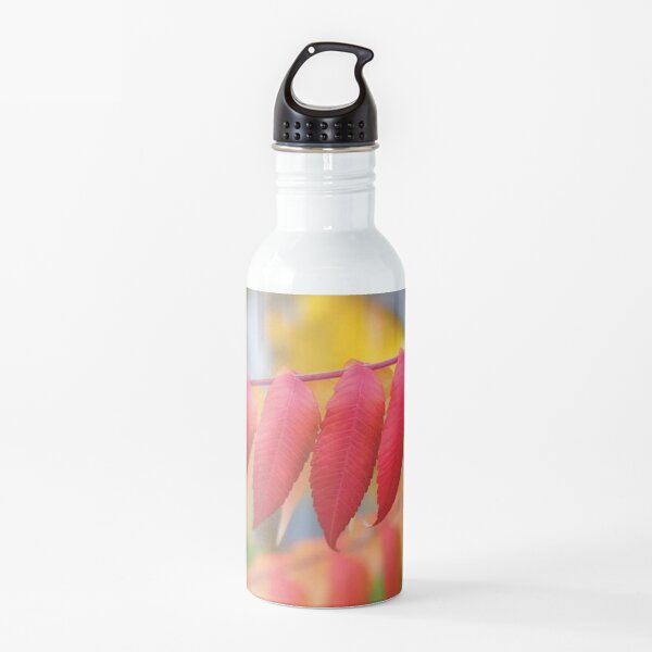 Red Leaves Of A Virginia Sumac Water Bottle