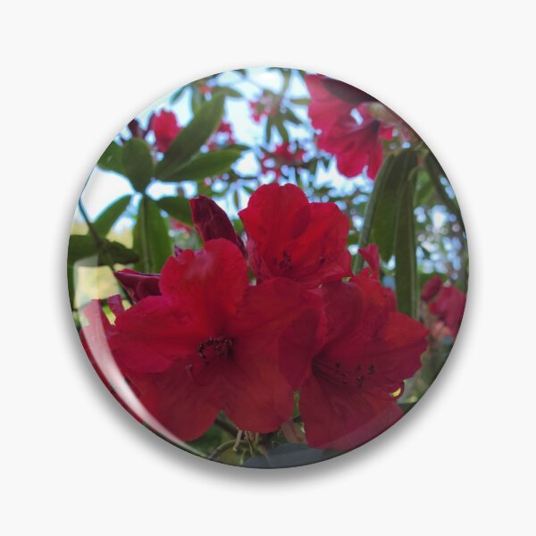 Item preview, Red Rhody designed and sold by Djjin66.