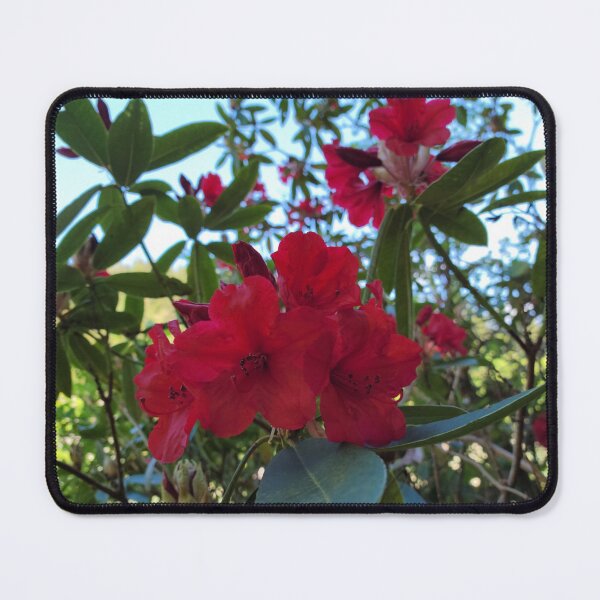 Item preview, Red Rhody designed and sold by Djjin66.