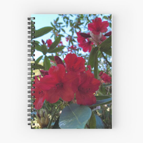 Item preview, Red Rhody designed and sold by Djjin66.