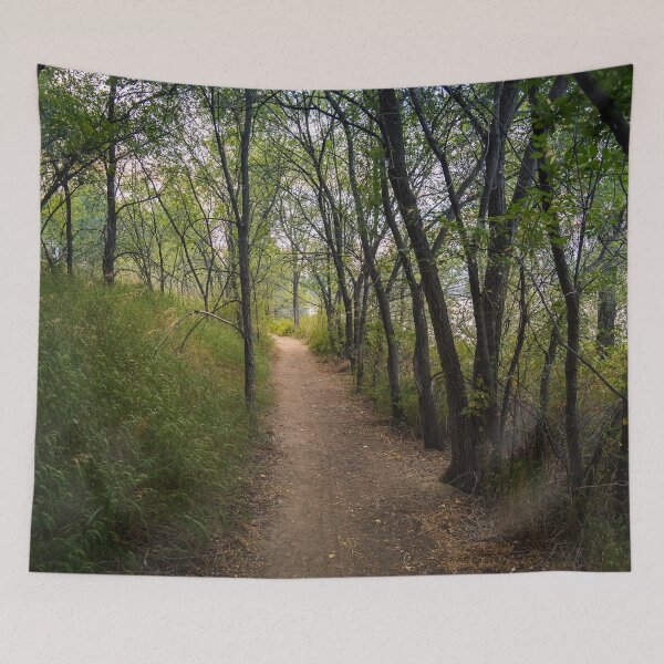 Item preview, Trail Through the Woods at Sunset designed and sold by Amy Mitchell.