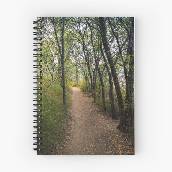 Item preview, Trail Through the Woods at Sunset designed and sold by Amy Mitchell.