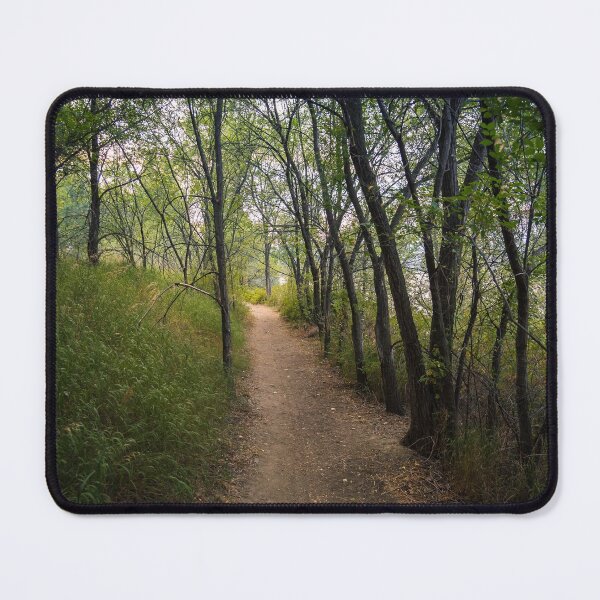 Item preview, Trail Through the Woods at Sunset designed and sold by Amy Mitchell.