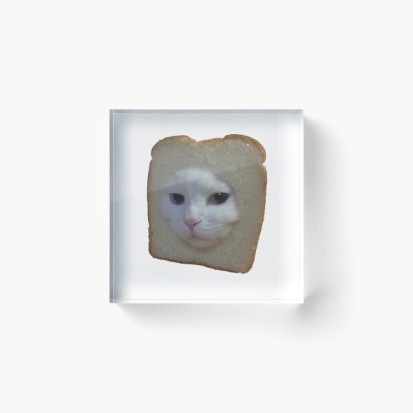 Funny Cat Meme Acrylic Block