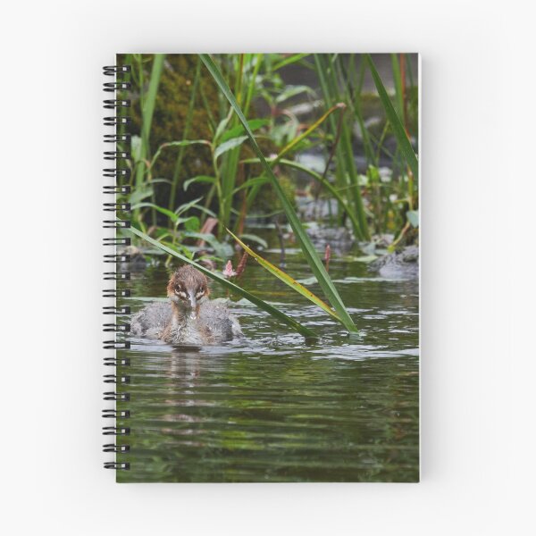 Item preview, Wet nose. Common merganser designed and sold by Jouko Lehto Photography.