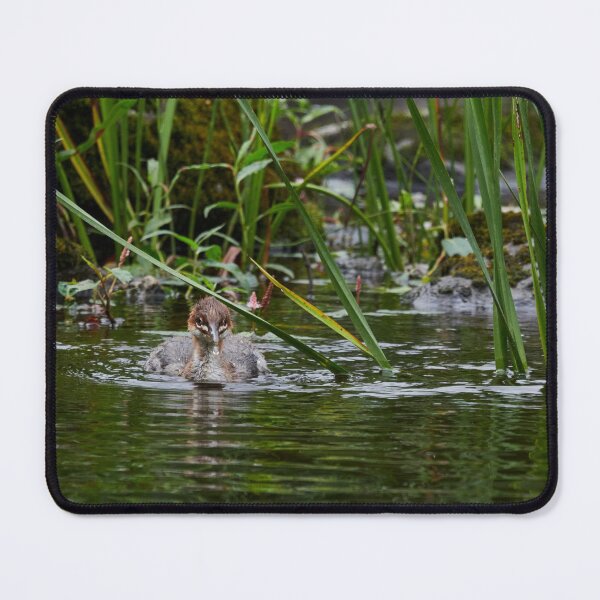 Item preview, Wet nose. Common merganser designed and sold by Jouko Lehto Photography.
