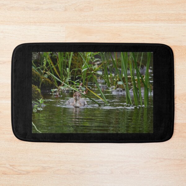 Item preview, Wet nose. Common merganser designed and sold by Jouko Lehto Photography.