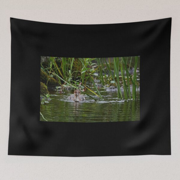 Item preview, Wet nose. Common merganser designed and sold by Jouko Lehto Photography.