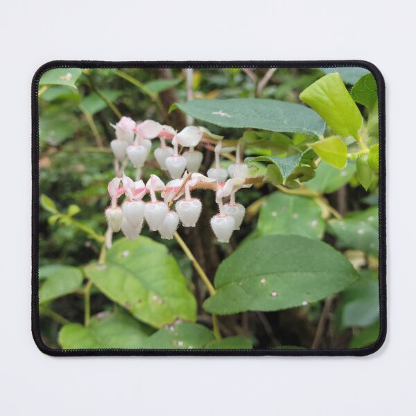 Item preview, Pink Bells designed and sold by Djjin66.