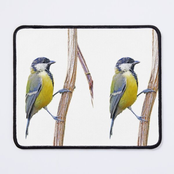 Item preview,  Birds Mésanges Charbonniére tits Charbonnière by Olao-Olavia / Okaio Créations  by fz 1000 2014 designed and sold by o.okaïo.