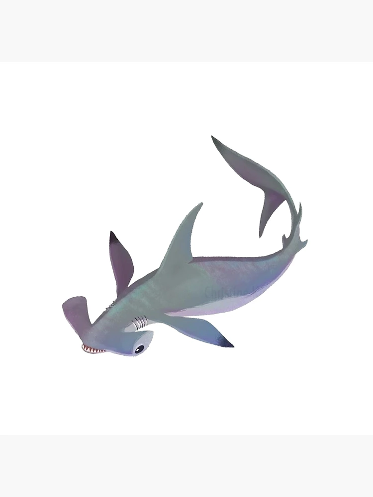 Hammerhead shark
