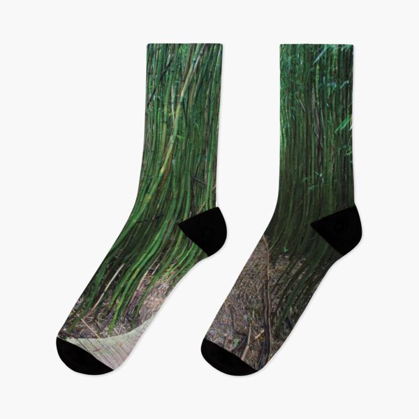 Item preview, Boardwalk Through Bamboo Pipiwai Trail Hakeakala National Park Kipahulu designed and sold by HammiltenJohn.