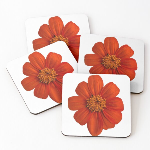 Item preview, Mexican Sunflower  designed and sold by lilly8405.