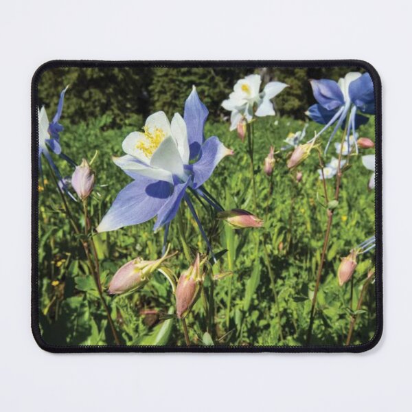 Item preview, Close Up Of Wildflowers Crested Butte designed and sold by HammiltenJohn.