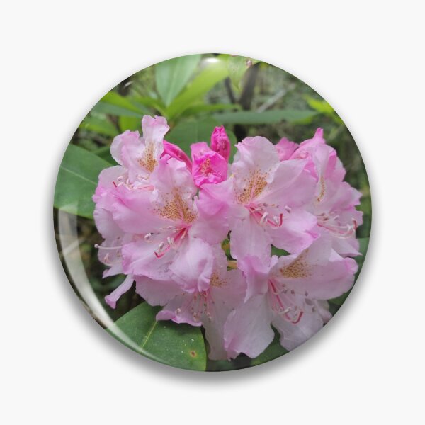 Item preview, Pink Rhody designed and sold by Djjin66.