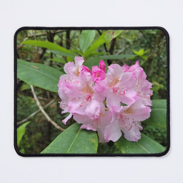 Item preview, Pink Rhody designed and sold by Djjin66.