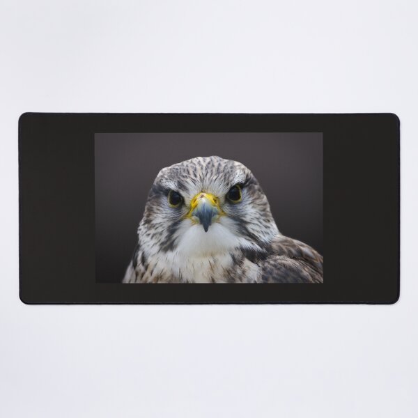 Item preview, Saker Falcon watching you. designed and sold by LindaCooke.