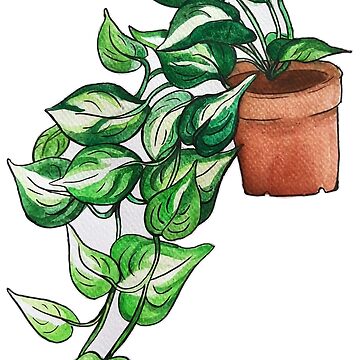 Artwork thumbnail, Pothos watercolor by moobloom