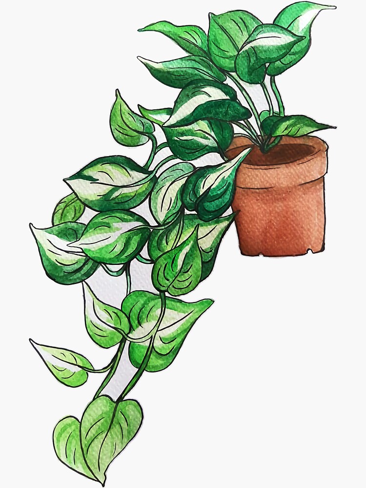 Thumbnail 3 of 3, Sticker, Pothos watercolor designed and sold by moobloom.