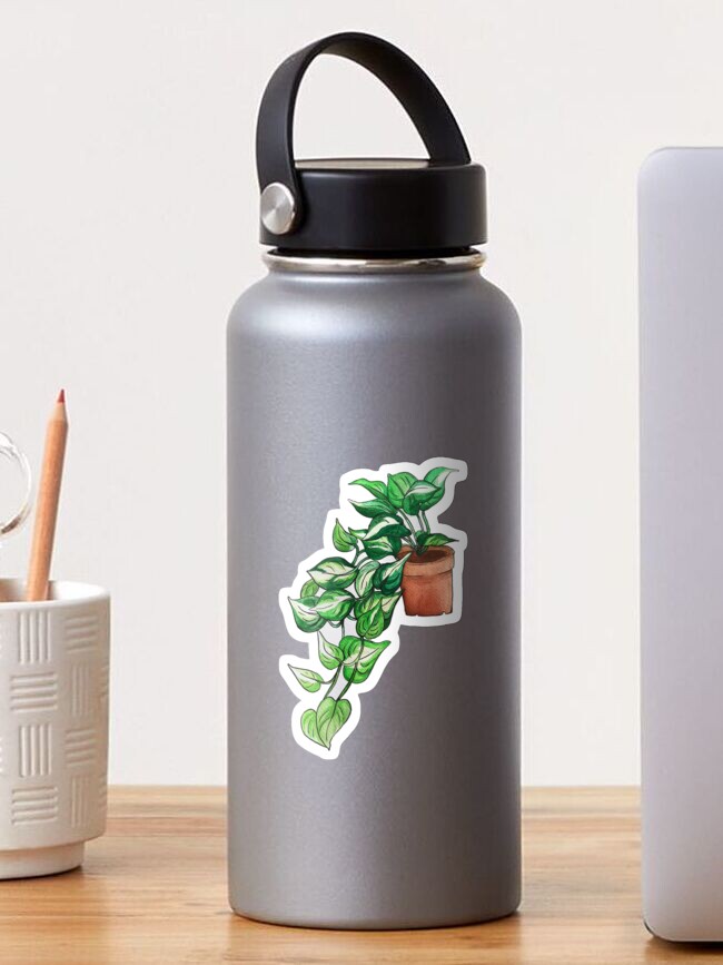 Thumbnail 1 of 3, Sticker, Pothos watercolor designed and sold by moobloom.