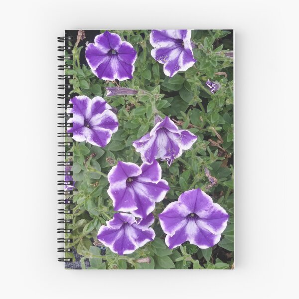 Item preview, PURPLE & WHITE DELIGHT designed and sold by Yolitha Lanay Carter.