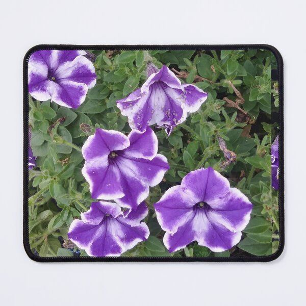 Item preview, PURPLE & WHITE DELIGHT designed and sold by Yolitha Lanay Carter.