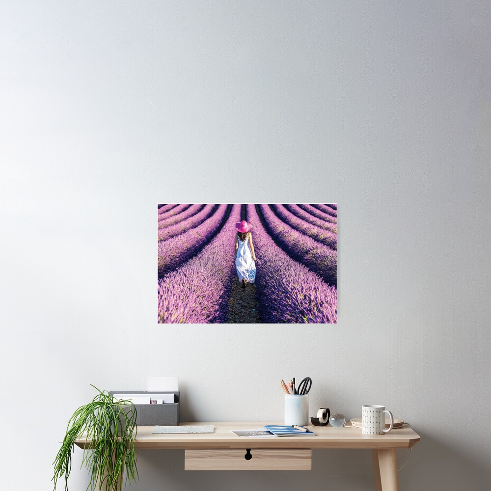 Woman Walking In The Lavender Poster