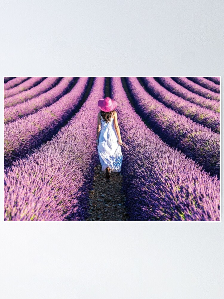 Alternate view of Woman Walking In The Lavender Poster