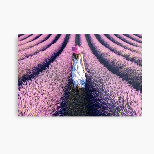 Woman Walking In The Lavender Metal Print