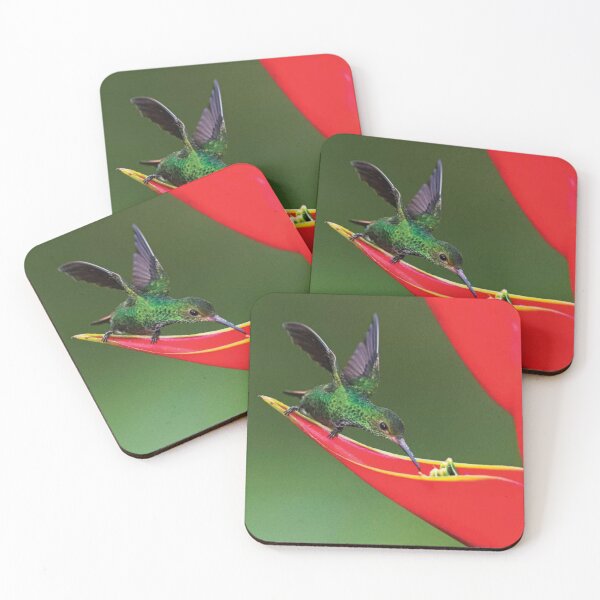 Item preview, Fiery Throated Hummingbird  Feeding On Red Wildflower designed and sold by HammiltenJohn.