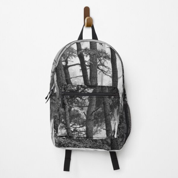 Item preview, Fog In Scenic Forest At Point Reyes National Seashore designed and sold by HammiltenJohn.