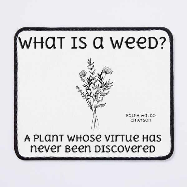 Item preview, What is a Weed? designed and sold by CreativeBel.