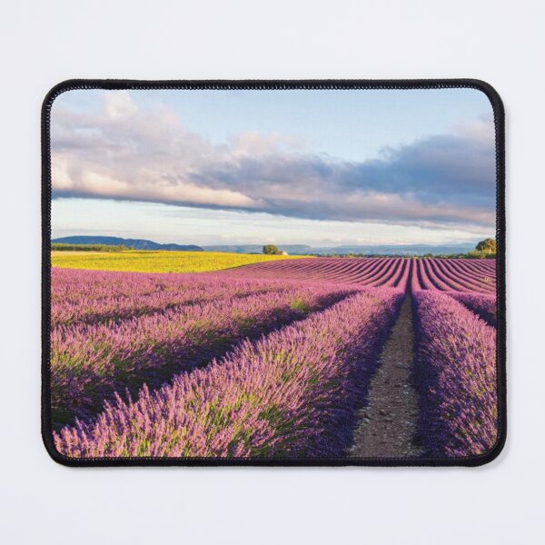Item preview, Lavender Field At Sunrise designed and sold by HammiltenJohn.