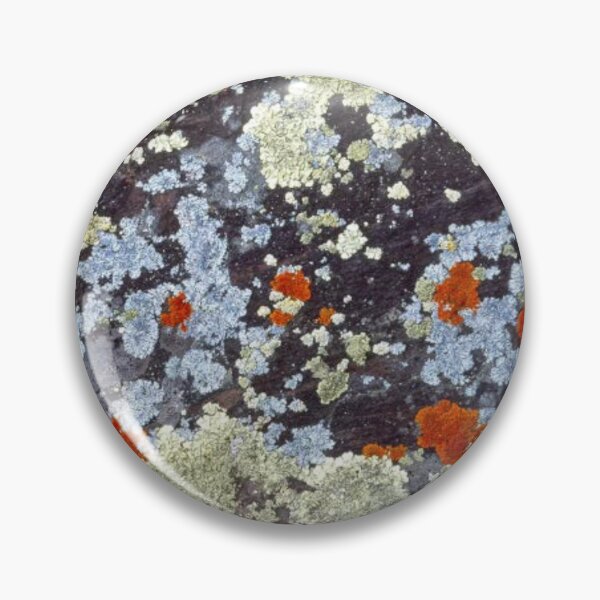 Item preview, Lichens On Rock designed and sold by HammiltenJohn.