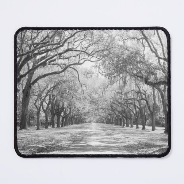Item preview, Live Oaks And Spanish Moss Wormsloe State Historic Site Savannah designed and sold by HammiltenJohn.