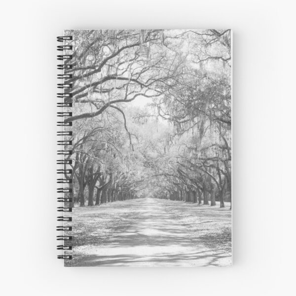 Item preview, Live Oaks And Spanish Moss Wormsloe State Historic Site Savannah designed and sold by HammiltenJohn.