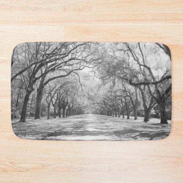 Item preview, Live Oaks And Spanish Moss Wormsloe State Historic Site Savannah designed and sold by HammiltenJohn.