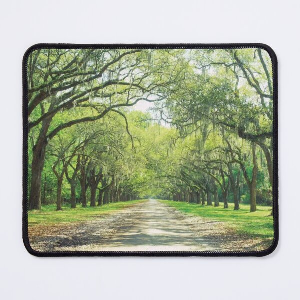 Item preview, Live Oaks And Spanish Moss Wormsloe State designed and sold by HammiltenJohn.