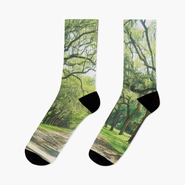 Item preview, Live Oaks And Spanish Moss Wormsloe State designed and sold by HammiltenJohn.