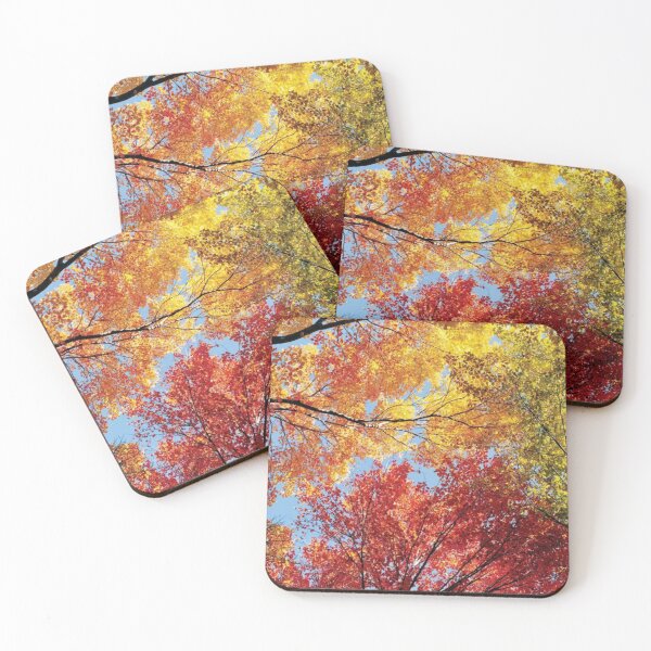 Item preview, Low Angle View Of Autumn Trees designed and sold by HammiltenJohn.