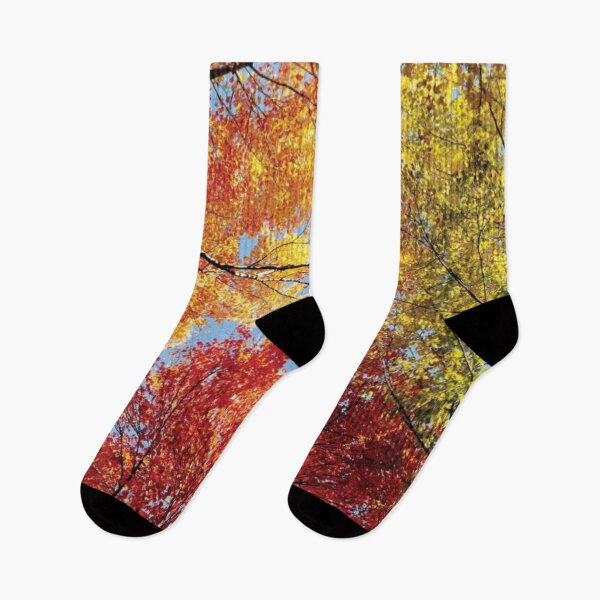 Item preview, Low Angle View Of Autumn Trees designed and sold by HammiltenJohn.