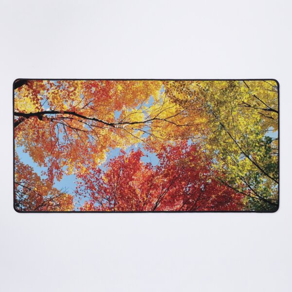 Item preview, Low Angle View Of Autumn Trees designed and sold by HammiltenJohn.
