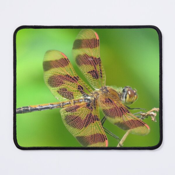 Item preview, Yellow Dragonfly designed and sold by Sam Morrison.