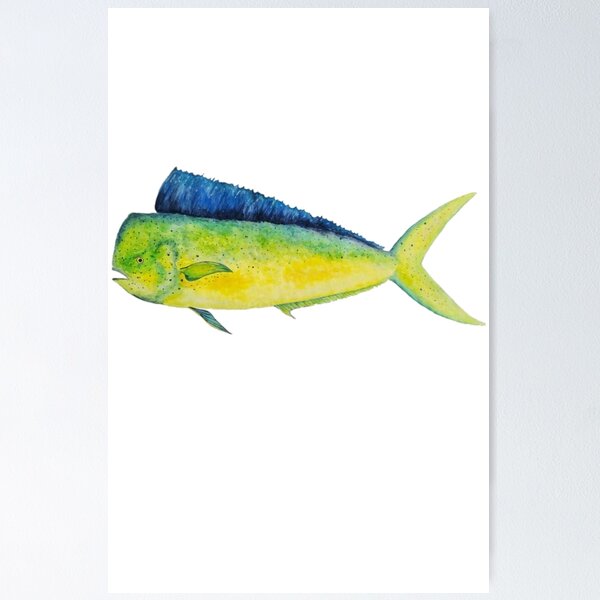 Item preview, Mahi Mahi Watercolor designed and sold by saltyseacow.