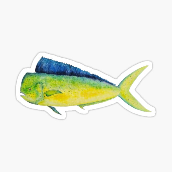 Salt Life Atlantic Mahi Mahi Salt Water Fishing White Graphic Pocket T-Shirt  L