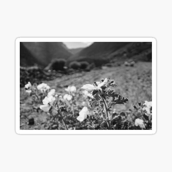 Monochrome Yosemite-Blüten Sticker
